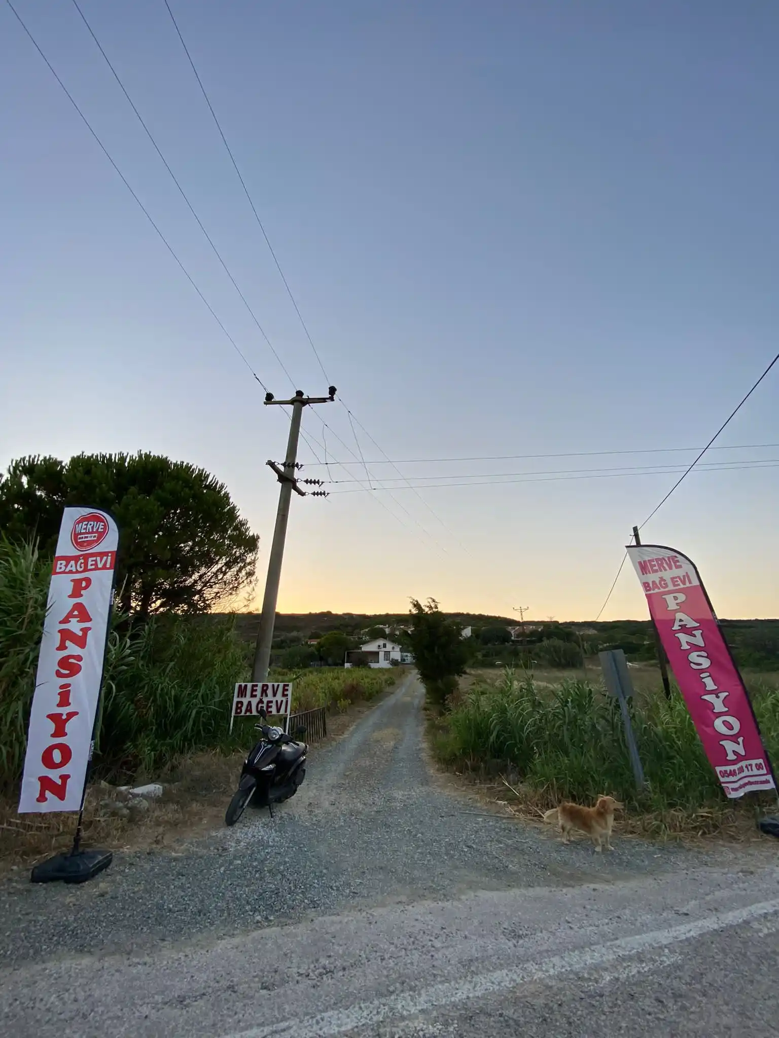 Turizm Sektörü Yelken Bayrağı-6